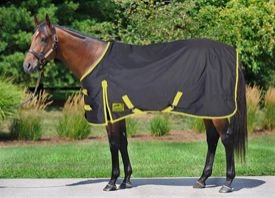 AI-RR-04 Horse Rein Rug