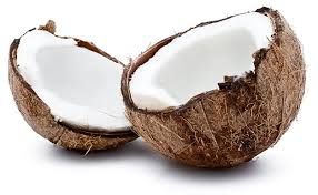 Fresh Coconut 01