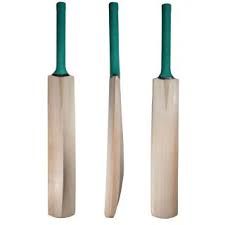 Kashmir Willow Cricket Bat 02