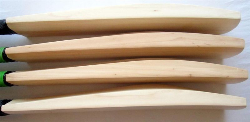 Kashmir Willow Cricket Bat 03