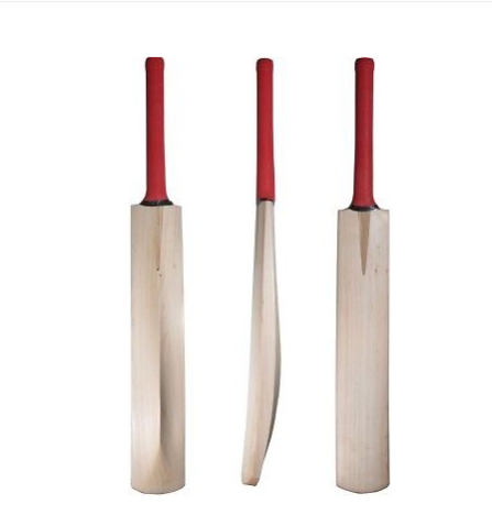 Kashmir Willow Cricket Bat 04