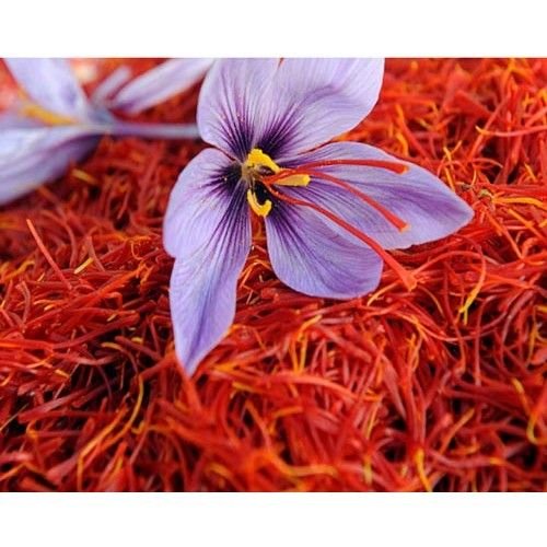 25gm Rajwadi Saffron 02