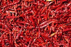 Fresh Red Chilli 03