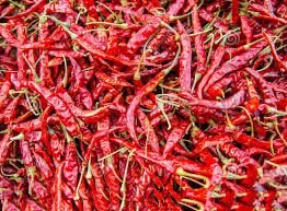 Fresh Red Chilli 04