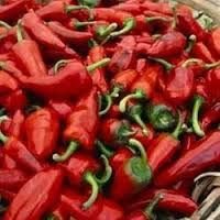 Fresh Red Chilli 02