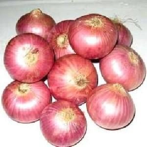 Fresh Red Onion 02