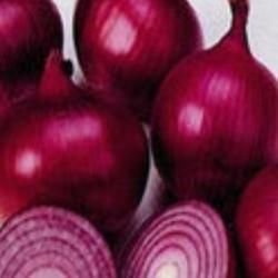 Fresh Red Onion 05