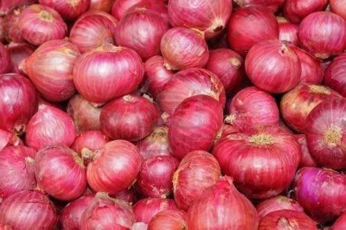 Fresh Red Onion 06