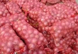 Fresh Red Onion 03