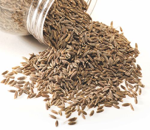 Cumin Seeds 02