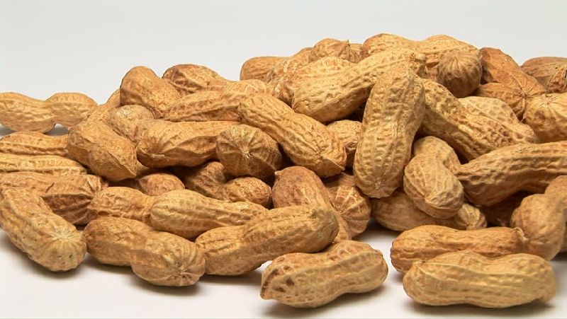 Shelled Groundnuts 02