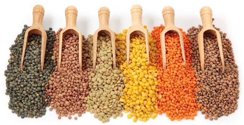 Indian Pulses 01