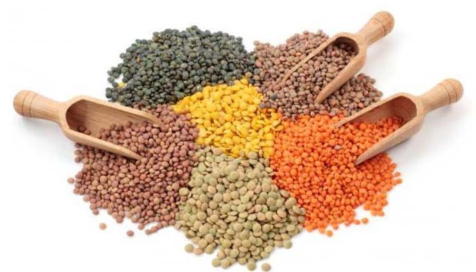 Indian Pulses 02