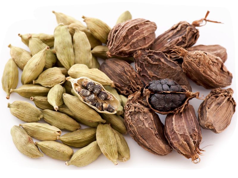 Cardamom 01