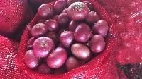 Fresh Red Onion 02