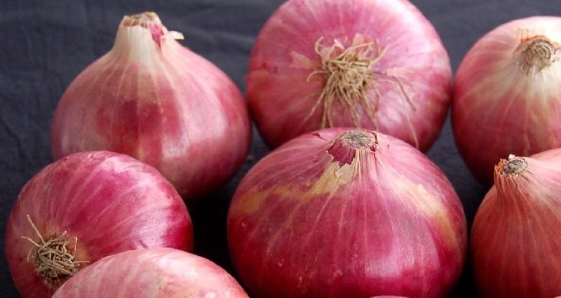 Fresh Red Onion 01