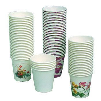 Disposable Paper Cup 02