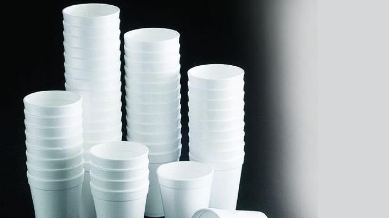 Disposable Paper Cup 03