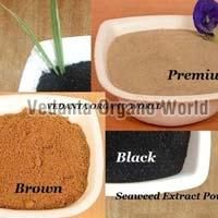 Seaweed Extract Powder 01