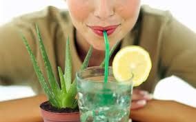 Aloe Vera Juice 02
