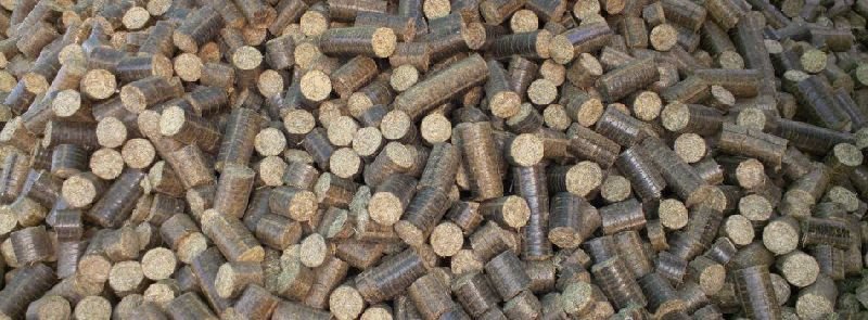 Biomass Briquettes 01