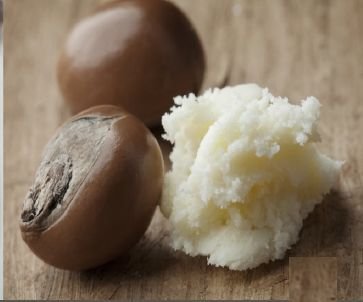 Shea Butter 02