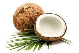 Fresh Coconut 01