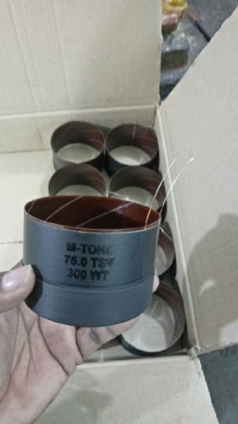 Voice Coil 10