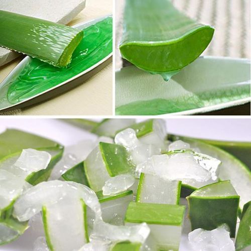 Aloe Vera Pulp 01