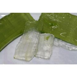 Aloe Vera Pulp 01