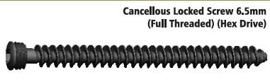 6.5 mm Cancellous Locked Screw (Full Threaded)