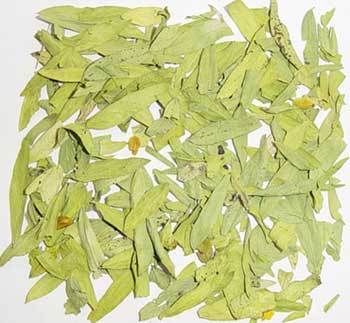 Dried Senna Leaves 01