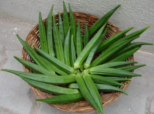 Fresh Lady Finger 02