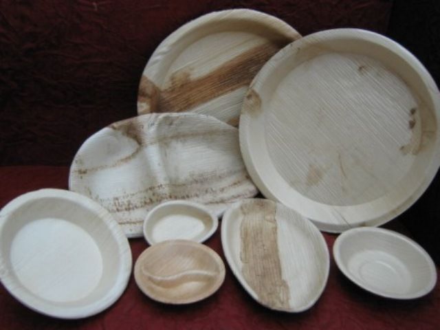 Areca Leaf Plates 06