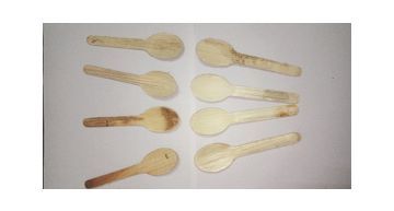 Areca Leaf Spoon