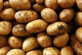 Fresh Potato 01