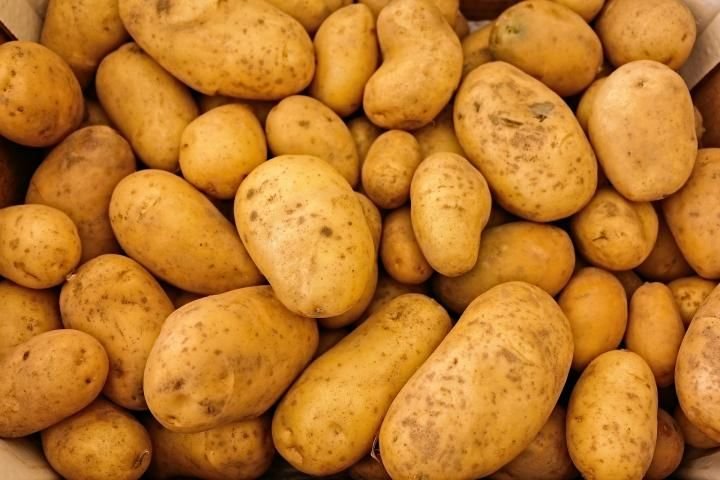 Fresh Potato 02