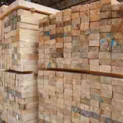 Silver Oak Wood Planks 01