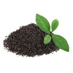 Black Tea 02