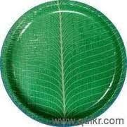 Colour Paper Plate 04