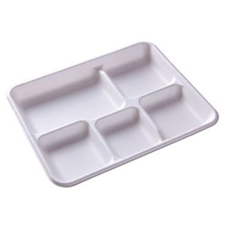 Disposable Partition Plate 01