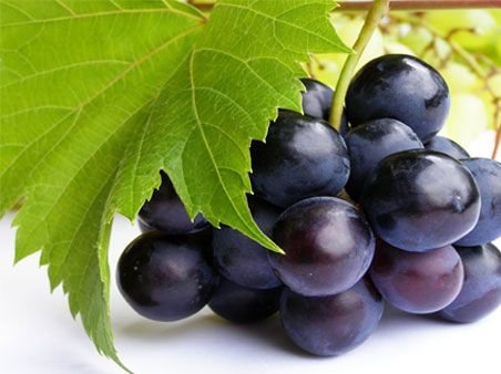 Black Jumbo Grapes 01