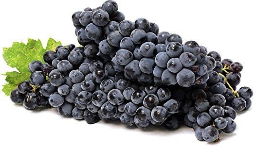Black Jumbo Grapes 03