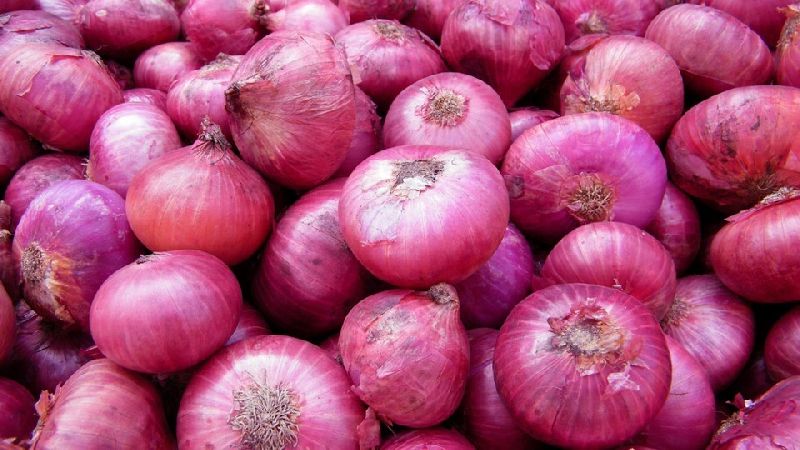 Fresh Red Onion 01