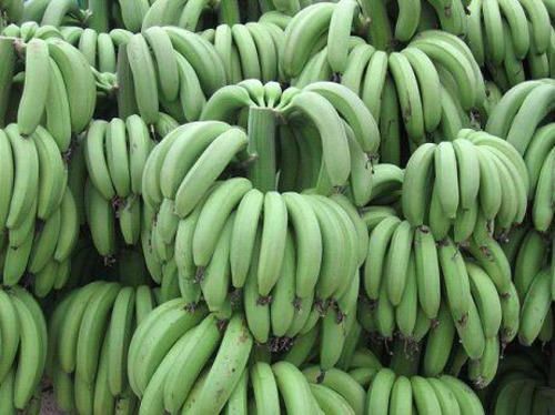 Fresh Banana 05