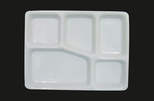 Compartment Food Plate