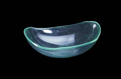 Heavy Leaf Shaped Catering Display Bowl