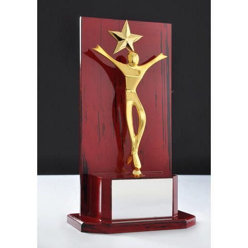 1 Star Award Trophy 02