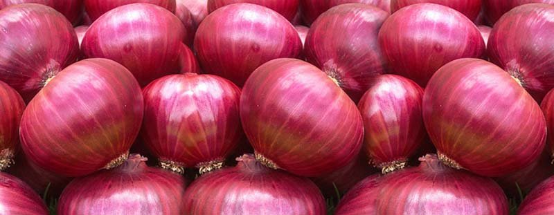 Fresh Red Onion 01