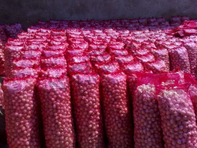 Fresh Red Onion 02